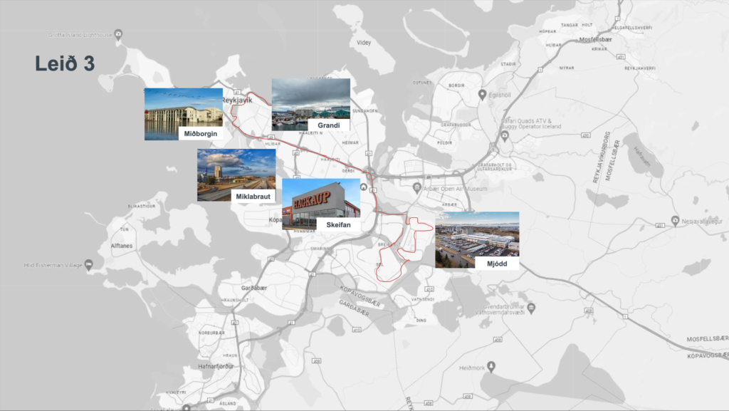 Leið 3